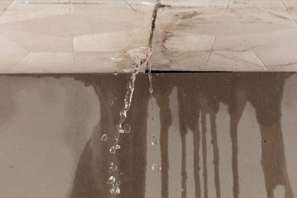 Professional Water Extraction technician working in Homewood, IL
